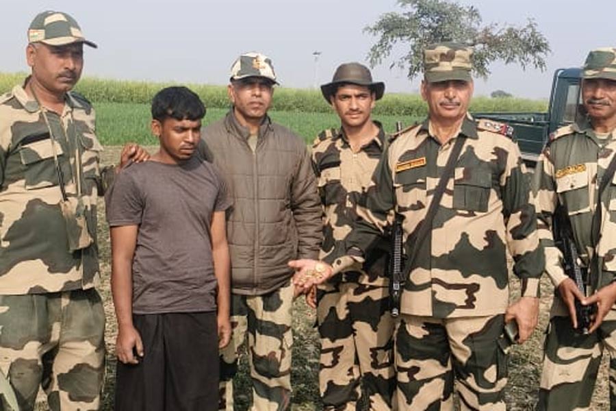 ভারত-বাংলাদেশ সীমান্তে পাচারের আগে বিপুল পরিমাণ সোনা উদ্ধার করল বিএসএফ, গ্রেফতার এক
